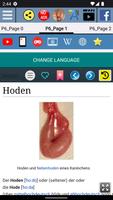 Hoden - Anatomie Screenshot 1