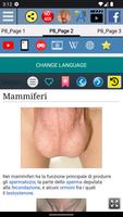 2 Schermata Testicolo - Anatomia