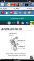 Testis Anatomy screenshot 4