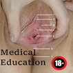 Anatomie du vagin
