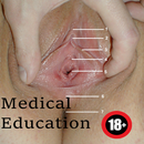 Anatomie du vagin APK