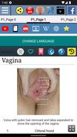 برنامه‌نما Vagina Anatomy عکس از صفحه