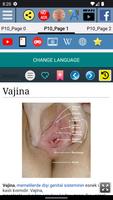 Vajina Anatomisi Ekran Görüntüsü 1