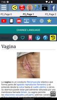 Anatomía de la vagina captura de pantalla 1