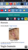 Anatomie du vagin capture d'écran 2