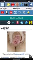 1 Schermata Anatomia della vagina
