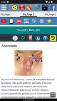 2 Schermata Anatomia della Vulva