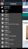Vulva Anatomy পোস্টার