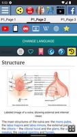 Vulva Anatomy ảnh chụp màn hình 1