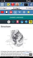 Anal canal Anatomy ảnh chụp màn hình 2