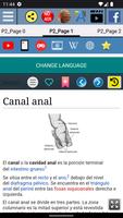 Canal anal Anatomía captura de pantalla 1