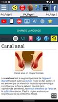 Canal anal - Anatomie capture d'écran 1