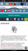 Canal anal - Anatomie capture d'écran 2
