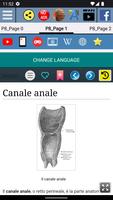 1 Schermata Canale Anale - Anatomia