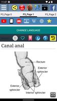 Canal anal - Anatomia imagem de tela 1