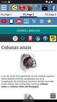Canal anal - Anatomia imagem de tela 2