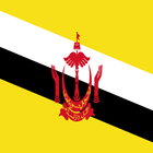 History of Brunei icon