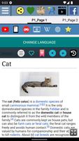 Cat penis Anatomy 스크린샷 1