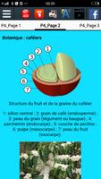 L'histoire du Café capture d'écran 2