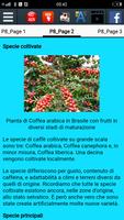 2 Schermata Storia del caffè