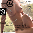 Anatomi Wanita APK