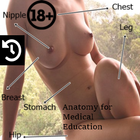 آیکون‌ Female Anatomy