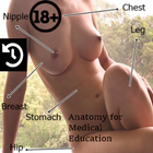 Female Anatomy 아이콘