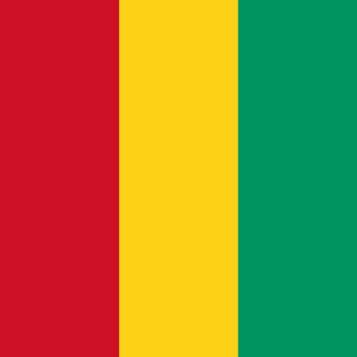 Storia della Guinea