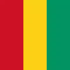 History of Guinea