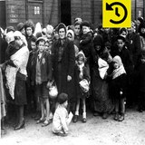 Histoire de la Shoah icône