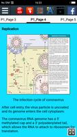 History of Coronavirus capture d'écran 2