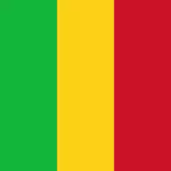 History of Mali XAPK 下載