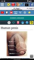 Penis Anatomy 截圖 1