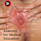 Sex education and Anatomy icon