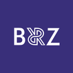 Brz Sleep
