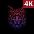 Dark Black Wallpapers HD 4K Am