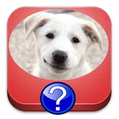 Dog Breeds Quiz APK download