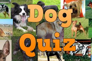Poster Quiz sulle razze di cani