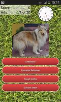 Dog Breeds Quiz screenshot 1