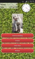 2 Schermata Quiz sulle razze di cani