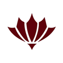 Cinco Ranch 311 aplikacja