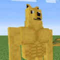 doge coin skin