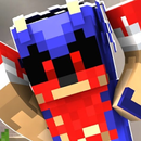 APK EXE Sonic Skin