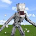 Scp Skin