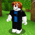 Robux Skins