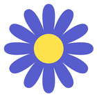 BloomBlitz icon