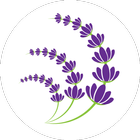 Lavender Store icon