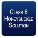 NCERT Class 6 Honeysuckle Solutions APK