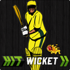 Hit Wicket Cricket 2017 - Australian League Game APK