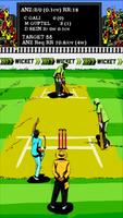 Hit Wicket Cricket 2017 - Australian League Game Affiche